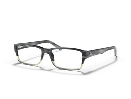 Ray-Ban Optical 0RX5169 (Farba 5540 - Sivá)
