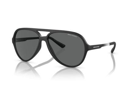 Armani Exchange 0AX4133S (Farba 807887 - Matná čierna)