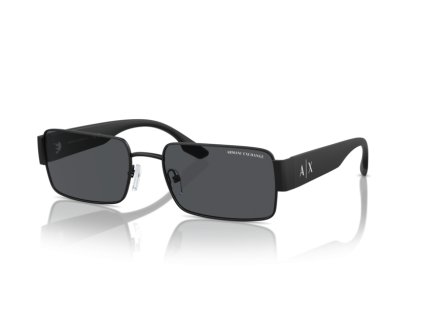Armani Exchange 0AX2052S (Farba 600087 - Matná čierna)