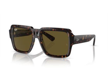 Ray-Ban 0RB4408 - Magellan (Farba 135973 - Havana)