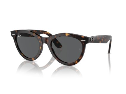Ray-Ban 0RB2241 - Wayfarer way (Farba 902/B1 - Havana)
