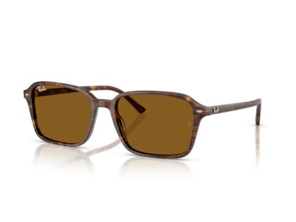 Ray-Ban 0RB2231 - Raimond (Farba 141833 - Priehľadná fantasy hnedá)