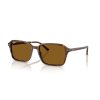 Ray-Ban 0RB2231 - Raimond (Farba 141833 - Priehľadná fantasy hnedá)