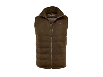 Vesta Blaser Hybrid