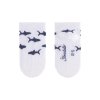 Dětské ponožky z bavlny nízké do tenisek 3 páry Žraloci Sterntaler