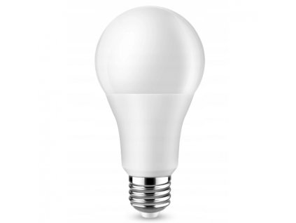 LED žárovka - E27 - A80 - 20W - 1800Lm - studená bílá