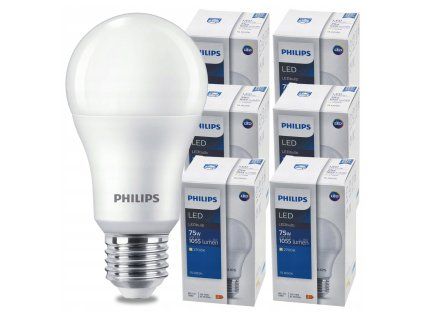 SADA 6 KS LED žárovek PHILIPS E27 10W 1055lm - teplá bílá