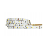 LED pásek - SMD 2835 - 25m - 120LED/m - 9,6W/m - IP65 - studená bílá
