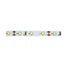 LED pásek - SMD 2835 - 5m 24W IP20 60LED/m 4,8W/m studená bílá