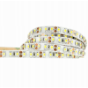 LED pásek - SMD 2835 - 5m - 600/5m - 9,6W/m - IP20 - studená bílá