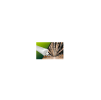 LED panel LEO - 150cm - 70W - 230V - neutrální bílá