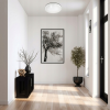 LED přisazené stropní svítidlo 52W kulaté - neutrální bílá