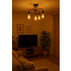 24738 3 52675 3 led zarovka s vklaknem e27 st64 6w tepla bila