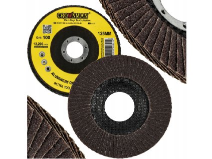 49009 49009 5x lamelovy kotouc pro brouseni dreva kov 125 mm p100