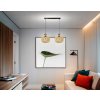 33987 1 stropni led svitidlo loft 2xe27 wood cerne