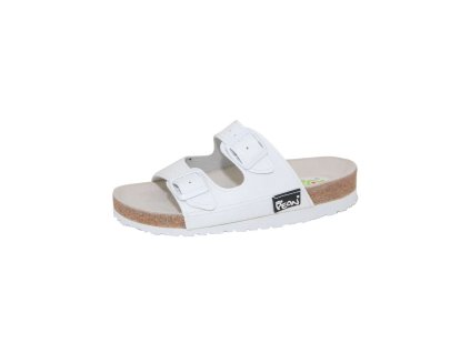 Pracovní ortopedická pantofel PE/121K-5 (Variant 5 - 41)