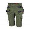 EREBOS Shorts green/black