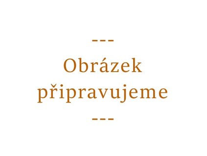 obrazek pripravujeme
