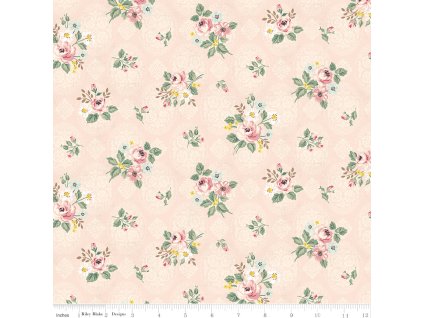 C17291 BLUSH 72dpi wruler