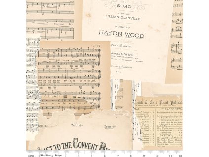 C17295 PARCHMENT 72dpi wruler