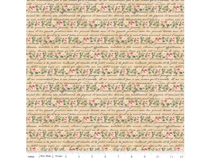 C17296 PARCHMENT 72dpi wruler