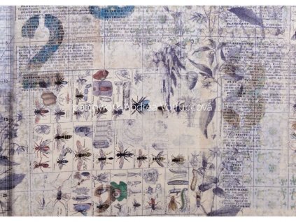 7486 tim holtz entomology electic elements wallflower ostatni potisk vicebarevna bavlnena latka