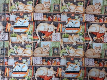 Stof 999-727 Kočky v knihovně bavlněná látka patchwork