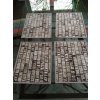 Tim Holtz