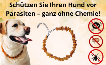 Do kuchyně