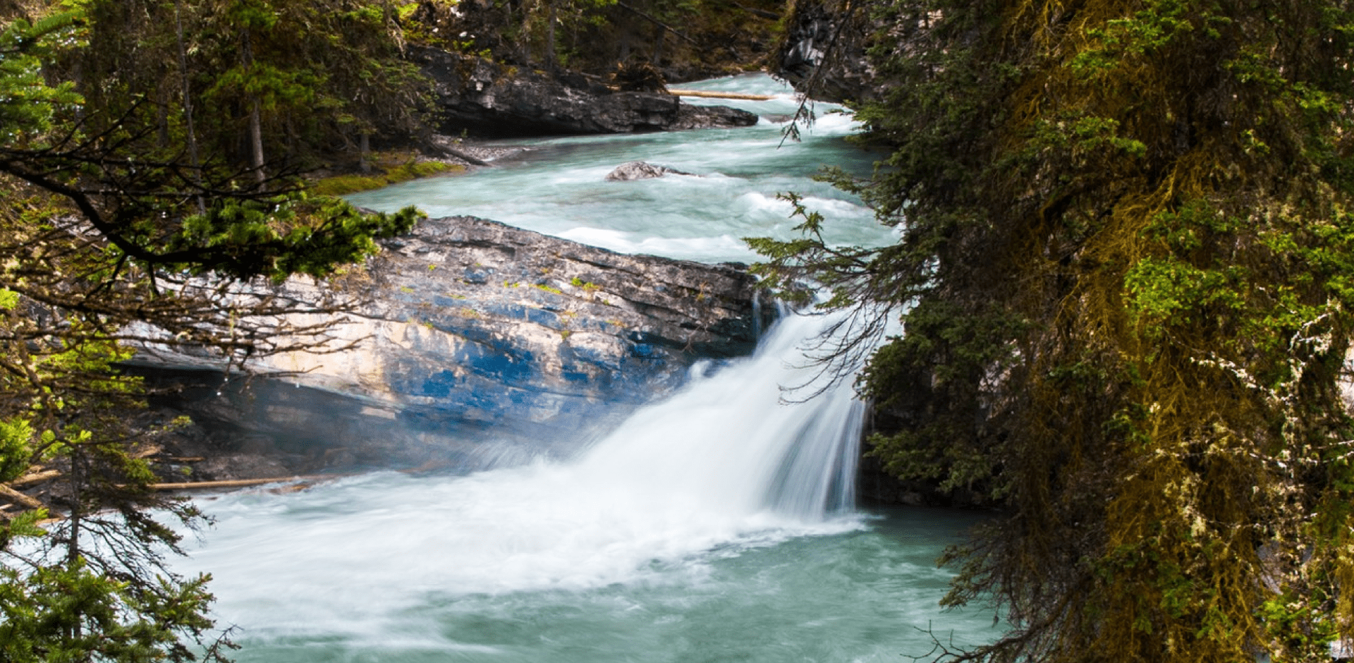 Káva, která vám ušetří peníze
