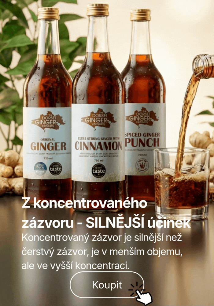 Zázvorové nápoje Dorset Ginger z koncentrovaného zázvoru