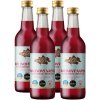 Dorset Ginger Malinový nápoj so zázvorovou príchuťou, 4x 330 ml