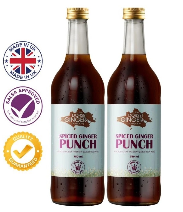 Ginger-nealkoholicky-zazvorovy-punc-s-ikonami-made-in-uk--salsa-vysoka-kvalita