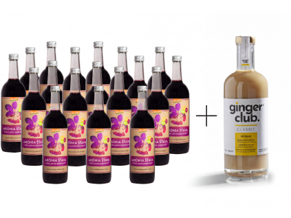 18x šťava + Ginger Club Classic 700 ml