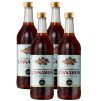 Dorset Ginger Extra Strong Cinnamon nealkoholický zázvorový nápoj, 4x 750 ml