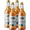 Dorset Ginger Rebarborový nápoj so zázvorovou príchuťou, 4x 330 ml