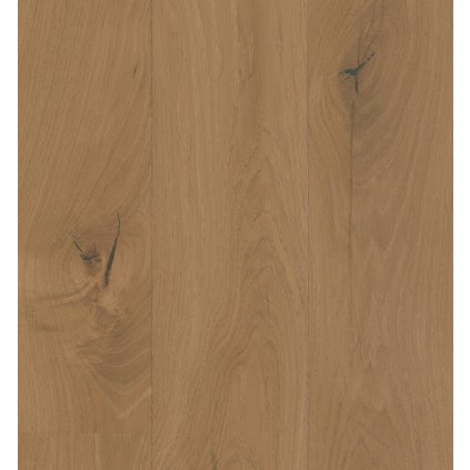 taiga authentique 01 pqt berryalloc dsh