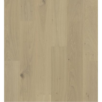 silk naturel swf berryalloc dsh