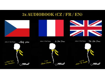 3x PRINCE multi COVER CZ+FR+ENG