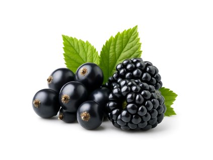 7d71548a 07ec 44bf 91a6 aedf27950ab5