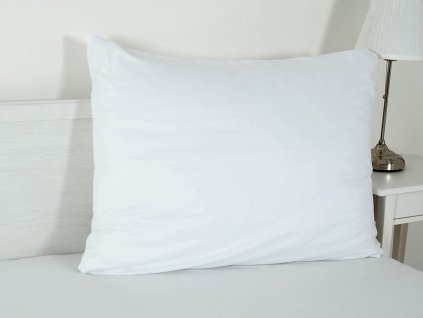 P1010864