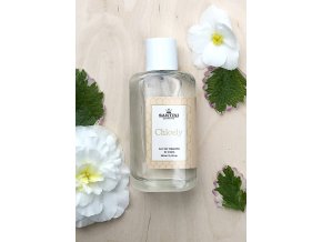 4646 1 damska toaletni voda santini chloely 100ml