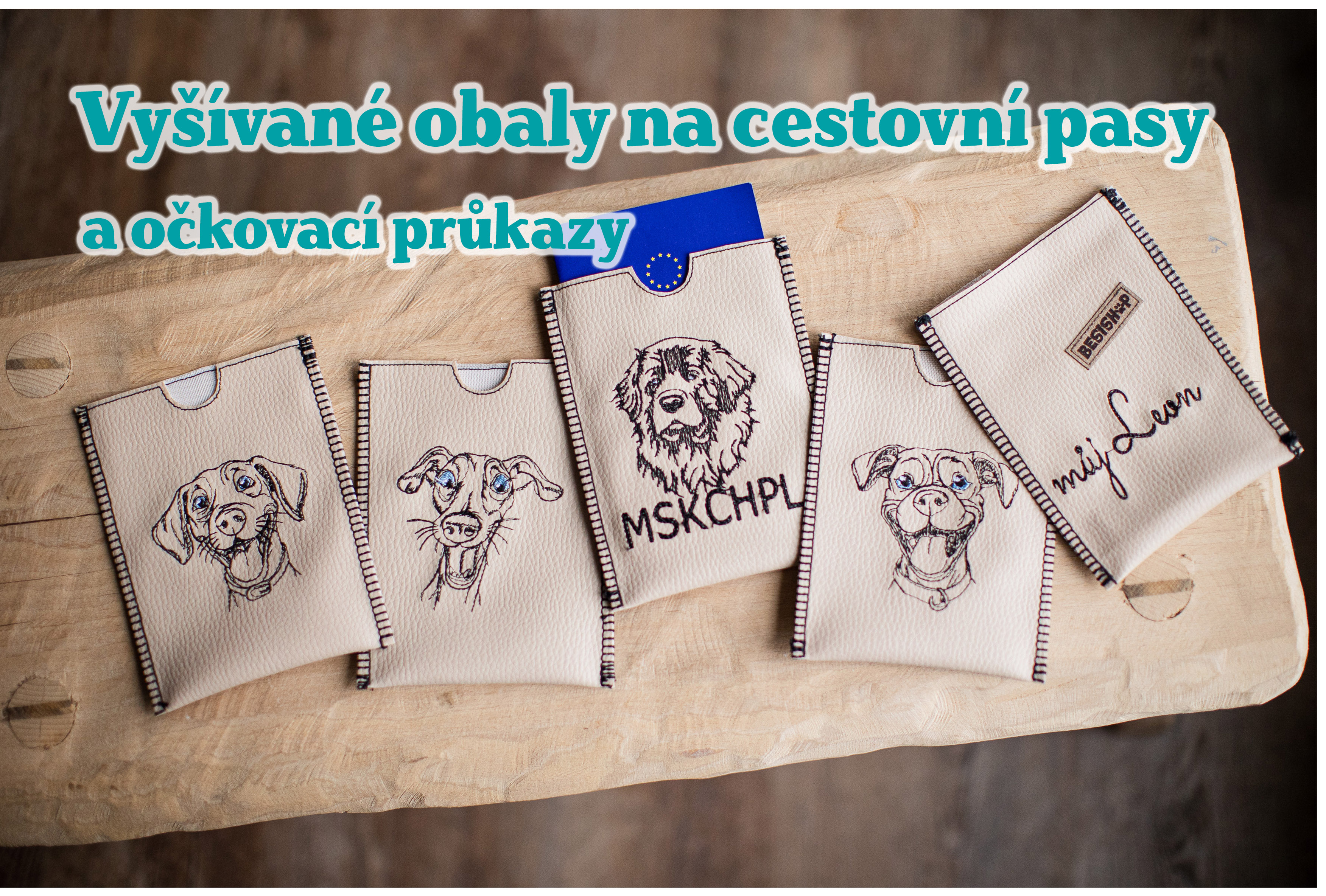 Obaly na cestovní pasy