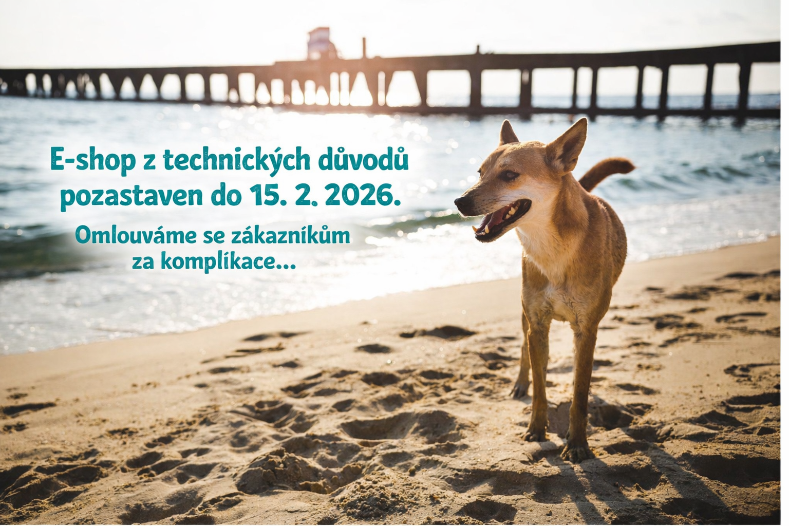 24. 3. - 12. 4. 2025  DOVOLENÁ