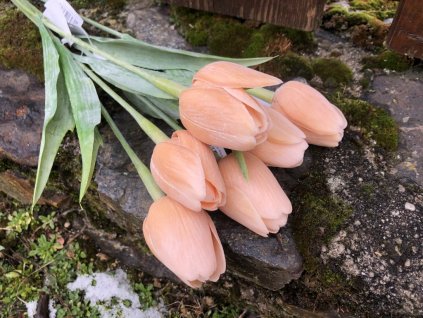 Hnědé umělé tulipány 6 ks