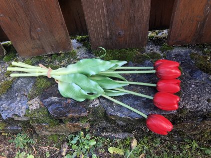 Červené umělé květiny tulipány
