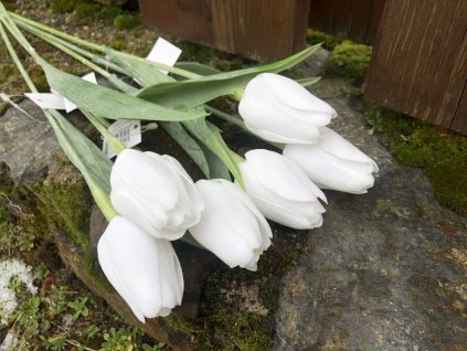 Bílé umělé tulipány