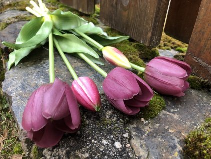 Umělé tulipány do vázy