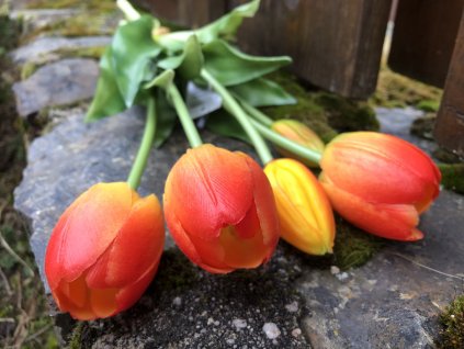 Oranžové latexové tulipány