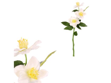 Umělé květiny čemeřice